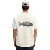 Marc O'Polo T-Shirt , Herren, Gr. XXL, beige (egg weiß), Jersey, Obermaterial: 100% Baumwolle, loose fit normal, Rundhals, Shirts T-Shirt, loose mit Fisch-Rückenprint