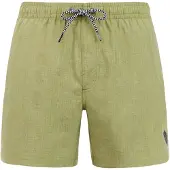 Protest DAVEY beachshort Fern Green