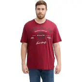 Tom Tailor T-Shirt mit Logo-Print