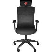 Genesis Ergonomischer Stuhl ASTAT 200 G2 schwarz