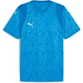 Puma Teamcup Trikot Kurzarm Herren - Royal