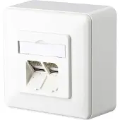 BTR NETCOM BTR 130C380002-I Datendose C6A 2 Port AP reinweiss 130C380002I