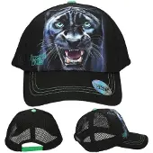Dino World 0413697, Kind, Unisex, Kappe, Schwarz, Baseballcap, Abbildung