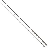 Daiwa Saltist Ags Iii Spinnrute