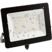 Eco-Light LED Flutlicht 100W 6500K
