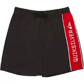 Quiksilver Everyday Clicker Volley 17"
