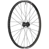Dt Swiss EX 1700 CLASSIC Laufrad 29// IS 30 110/15"