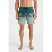 O'Neill Logo Stripe 16'' Swimshorts green heritage stripe (26034) M