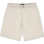 Billabong Arch Sportshorts