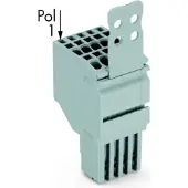 Wago 2020-204/133-000 2-Leiter-Federleiste,Push-in CAGE CLAMP,1,5 mm2,grau 2020204133000 - 50 Stück