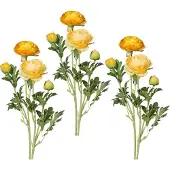Creativ Green Kunstblume "Ranunkel" für schöne Arrangements wie Sträuße und Gestecke