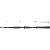 Abu Garcia Beast Pike Baitcastrute
