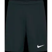 Nike Herren Shorts Dri-FIT Academy Pro