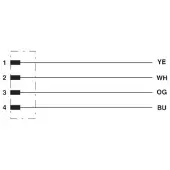 Phoenix Contact 1524307 Netzwerkkabel NBC-M12MSD/ 2,0-93B CMC NBCM12MSD2093BCMC