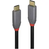 Lindy 5a 0.5 M Usb-c-kabel