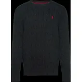 Ralph Lauren Pullover 323702674061 Schwarz Regular Fit