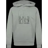 Helly Hansen Core Graphic Kapuzenpullover
