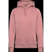 Helly Hansen Hoodie Elevate Damen Ash Rose-M
