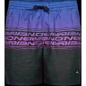 O'Neill - Logo Stripe 16'' Swimshorts - Badehose Gr S bunt