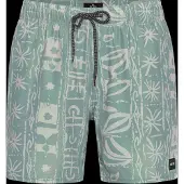 Rip Curl RipCurl Sessions Volley aloe (3237) 2XL