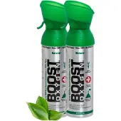 Boost Oxygen Sauerstoffdose zum Inhalieren Natural, mittel, 2x5L
