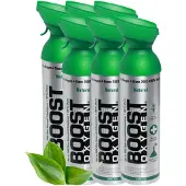 Boost Oxygen Sauerstoffdose zum Inhalieren Natural, groß, 6x9L