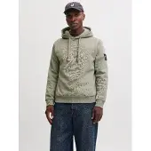 Jack & Jones Kapuzensweatshirt "JJCLEVELAND SWEAT HOOD SN", Materialmix, regular fit