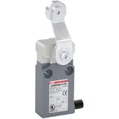 ABB LS20M46B11-U01 Positionsschalter Metall-Gehäuse IP67 Stahl-Rollenschwenkhebel verzinkt 1SBV015546R2601 LS20M46B11U01