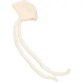 Engel - Frühchen Häubchen - Mütze Gr 38/44 weiß