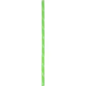 Edelrid Static Low Stretch 11,0mm neon green (499) 60 M