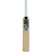 Gunn And Moore Diamond 202 Kashmir Willow Cricket-schläger Braun Harrow Braun Harrow