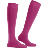 Falke Climawool Damen Kniestrümpfe berry (8390) 41-42