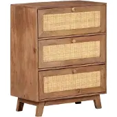 vidaXL Sideboard 61x35x76 cm Massivholz Mango