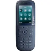 HP Poly Rove 30 DECT-Telefonhörer, Schwarz, Kabelloses Mobilteil, Tropfsicher, TFT, 6,1 cm (2.4"), 240 x 320 Pixel