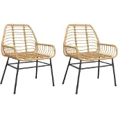 vidaXL Gartenstühle 2 Stk. Braun Poly Rattan