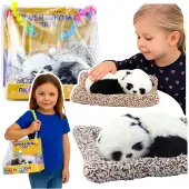 Leantoys Schlafender Panda auf einem Kissen, Figur mit Fell und transparentem Beutel