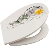 WELLWATER WC-Sitz Euphonia, Soft-Close, Take-Off, Thermoplast, 956481