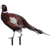 Markenlos Realistischer Acryl-Fasan als Gartenstecker für den Außenbereich, wetterfestes Gartenschild für Garten, Terrasse und Blumenbeet, langlebige Dekoration für eine natürliche Gartengestaltung