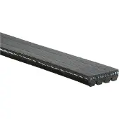 Gates Keilrippenriemen 4pk1525sf für AUDI