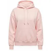 Levi's Everyday Kapuzenpullover