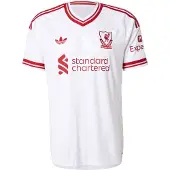 Adidas KA6860_205, Weiß, Trikot, Fußball, M, ClimaCool, V-Ausschnitt