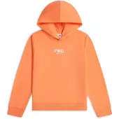 O'Neill Essentials Kapuzenpullover