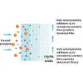 Ust-m Polypropylen-Garneinlage - 5 Mikron-Satz