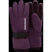 Didriksons Biggles Handschuhe, Northen Purple, 4-6 Jahre