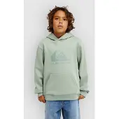 Quiksilver - Kid's Comp Logo Hoodie - Hoodie Gr 10 grün