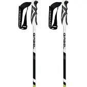 Gabel Carbon Cross Stöcke