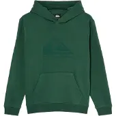 Quiksilver - Kid's Comp Logo Hoodie - Hoodie Gr 12 grün