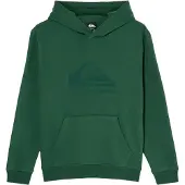 Quiksilver - Kid's Comp Logo Hoodie - Hoodie Gr 8 grün