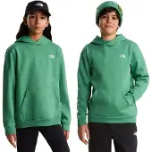 The North Face Teen Evolution Simple Dome Pullover Hood dimmed algae (G57) XXL