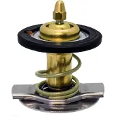 Facet Thermostat, Kühlmittel 78442 für PUCH CHRYSLER MERCEDES-BENZ